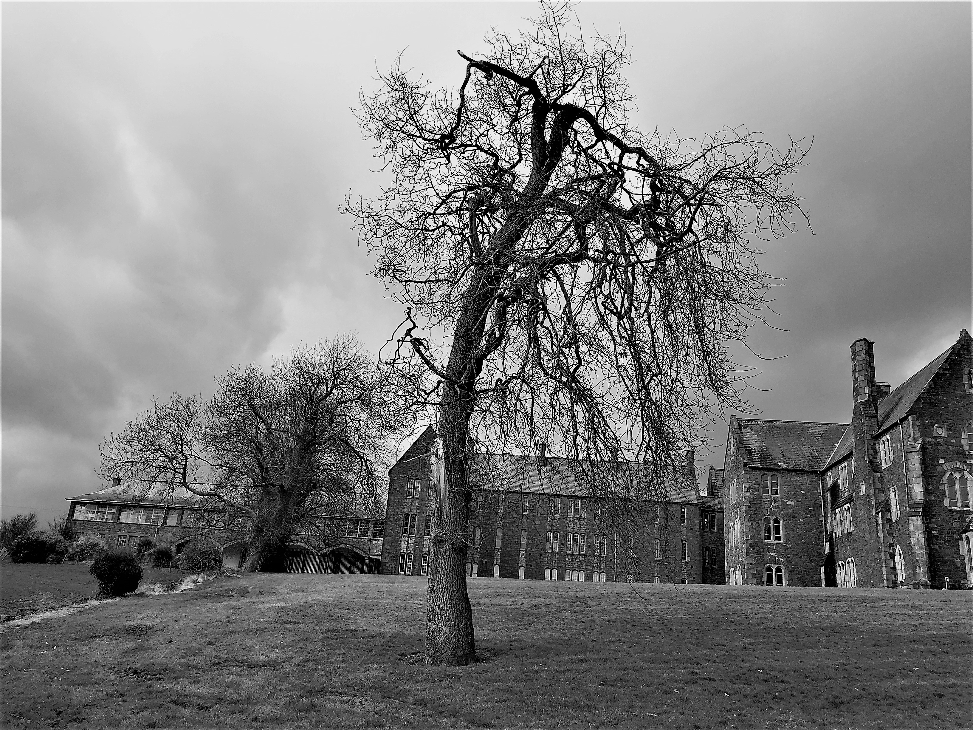 1-St Finan's Hospital Killarney