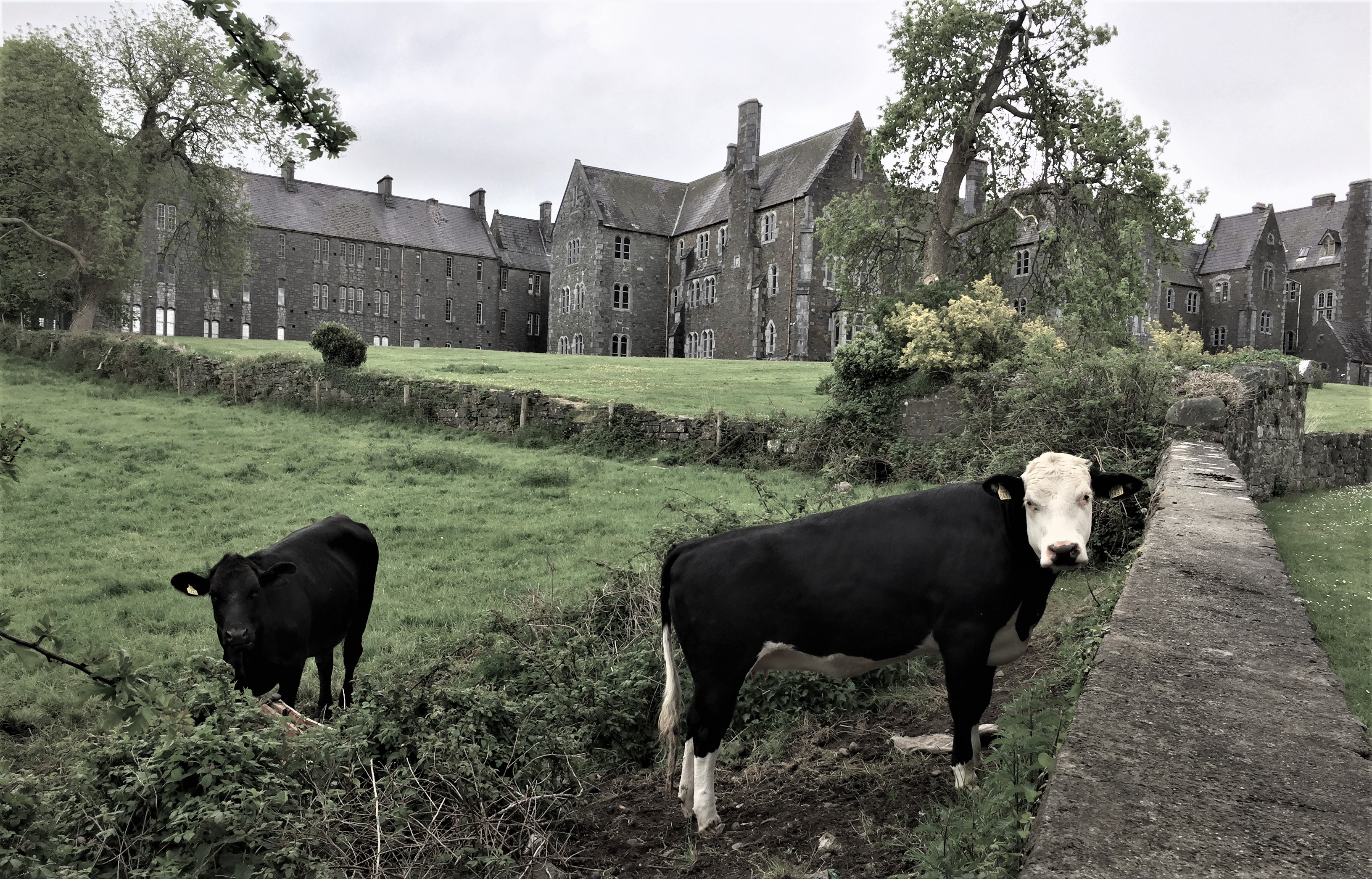 St Finans-the working farm