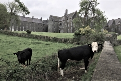 St Finans-the working farm
