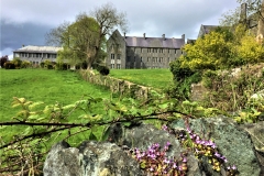 The Beginning of Spring, St Finan's Hospital, Killarney
