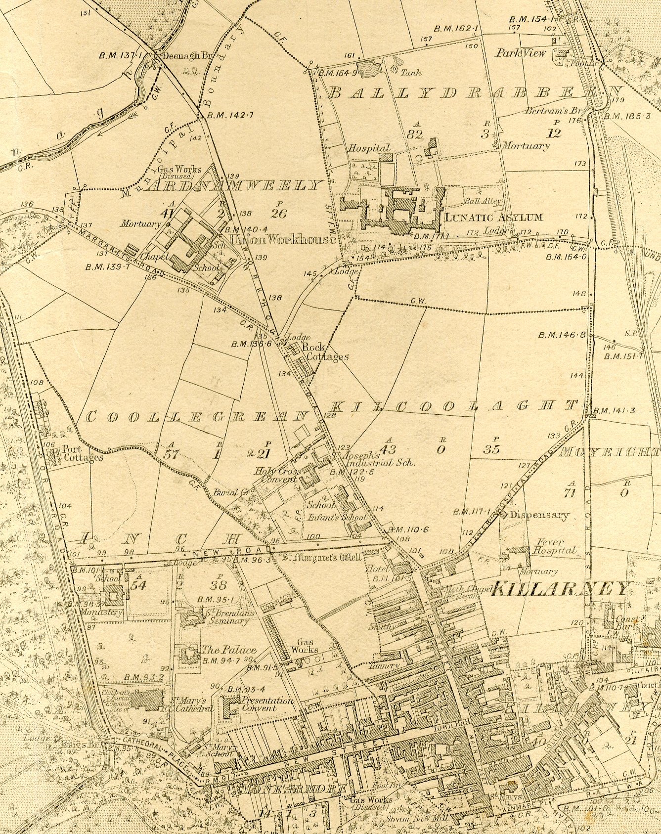 St Finan's 1894 OS 6 Inch Map
